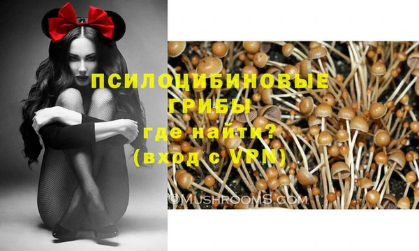 мяу мяу кристалл Богданович